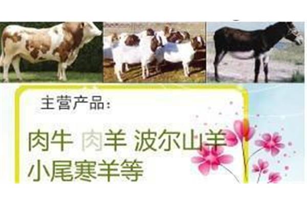 河北養(yǎng)牛補(bǔ)貼政策出臺(tái),湖北黃牛補(bǔ)貼政策出臺(tái)